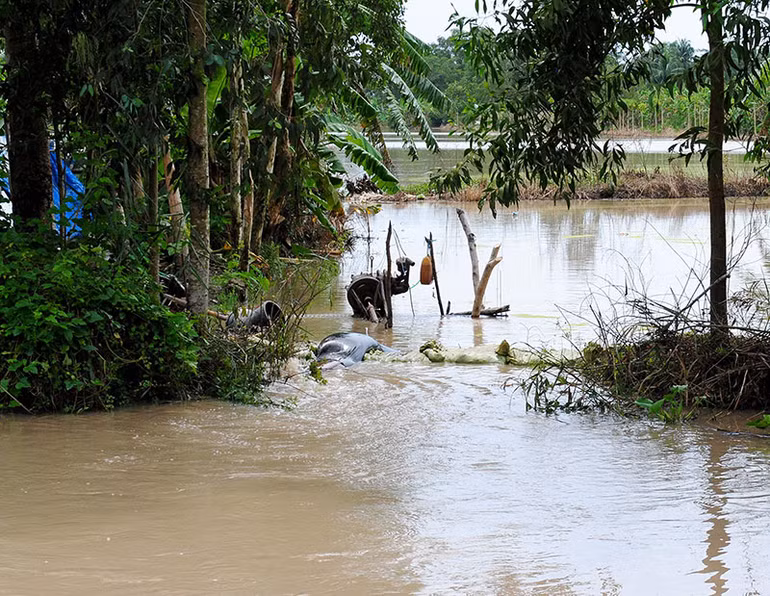 Mưa âm ỉ, Cà Mau bì bõm trong nước -0