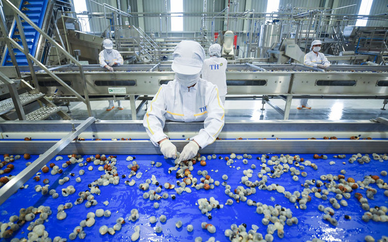 Nhà máy chế biến hoa quả tươi và thảo dược hiện đại nhất ở Sơn La đi vào hoạt động -0