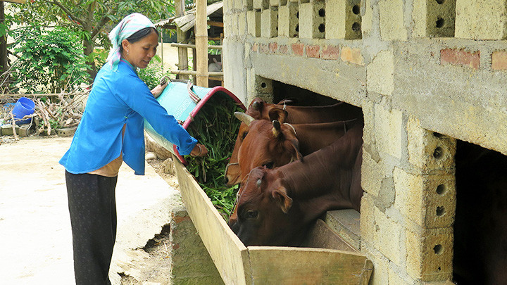 Yêu cầu thay đổi chuẩn nghèo -0
