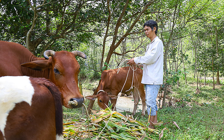 Điểm sáng về phòng, chống bạo lực giới ở Yên Bái -0