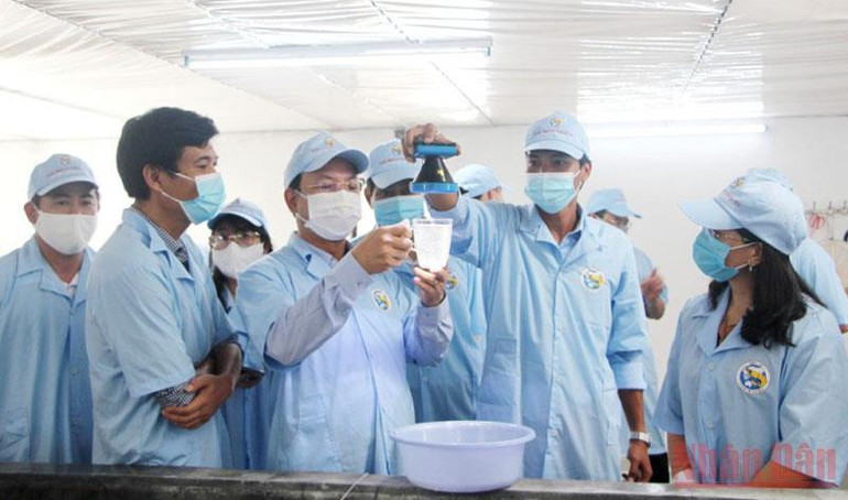 Phát triển nông nghiệp công nghệ cao ở Đầm Hà -0