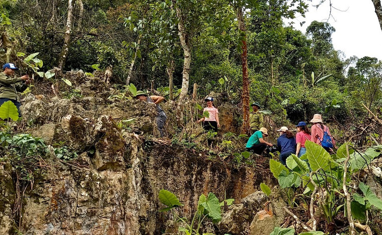 Trồng gần 6.000 cây làm thức ăn cho vượn đen má trắng ở Vân Hồ, Sơn La -0