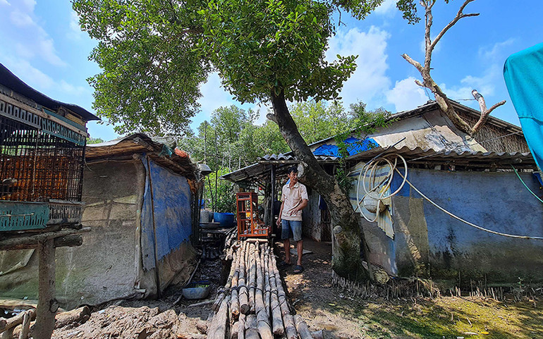 Khu vực sàn cao này là nơi gia đình ông Huỳnh Thanh Thủy kê đồ đạc, vật dụng mỗi khi triều cường dâng cao. Đê biển Cà Mau lún dần xuống biển -0