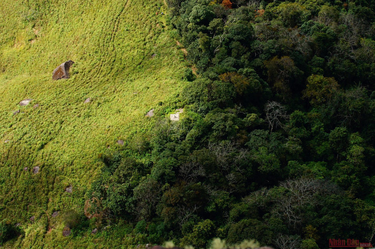 Theo dấu chân đoàn quân Tây Tiến, chinh phục đỉnh Pha Luông mùa lá phong -0