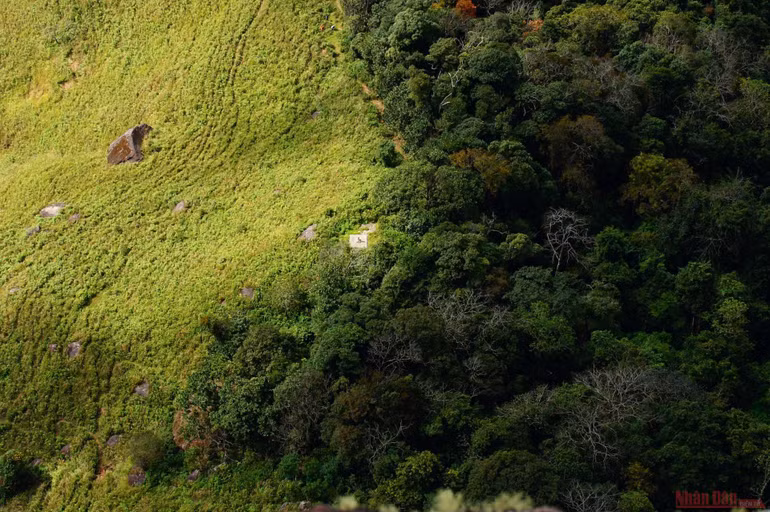 Theo dấu chân đoàn quân Tây Tiến, chinh phục đỉnh Pha Luông mùa lá phong -0