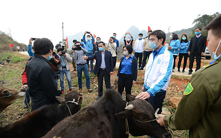 Khởi công phục dựng 