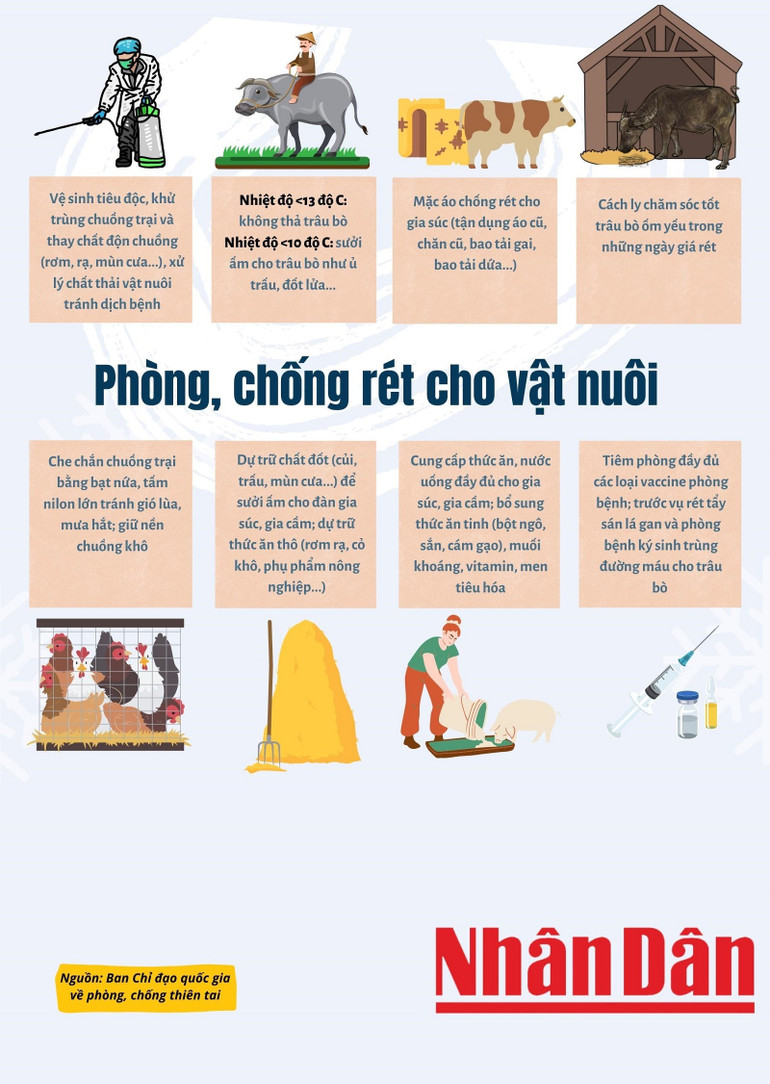 Giữ ấm hiệu quả trong ngày rét đậm, rét hại -0