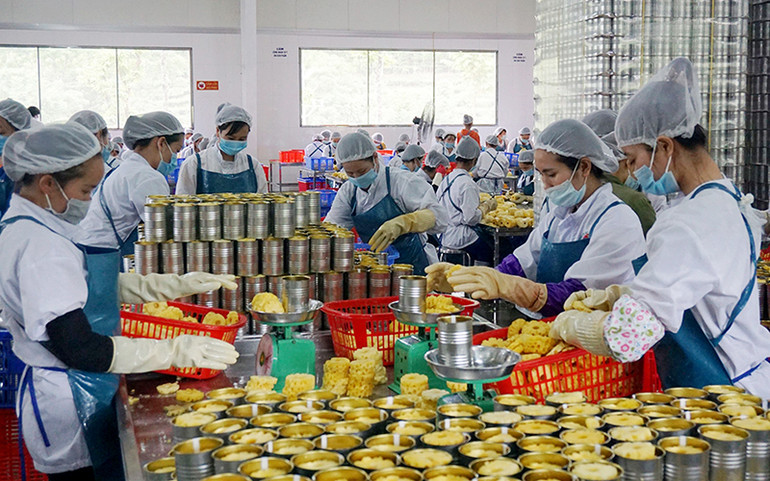 Thích ứng quy định mới về xuất khẩu nông sản sang Trung Quốc -0