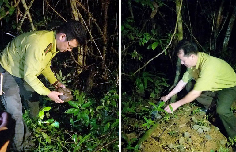 Thả hàng chục động vật quý hiếm về rừng tự nhiên -0