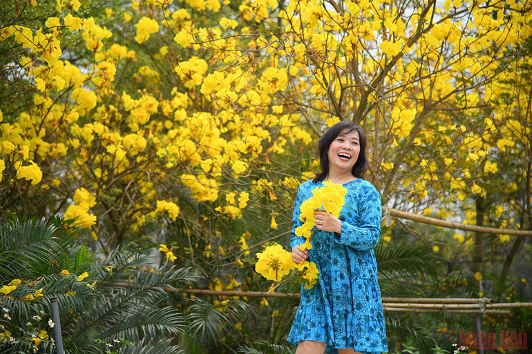 Hà Nội rực rỡ mùa hoa tháng 3 -0