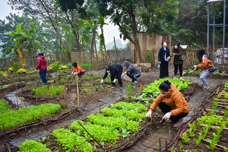 Hà Nội cải tạo bãi đất ô nhiễm thành không gian công cộng xanh -0