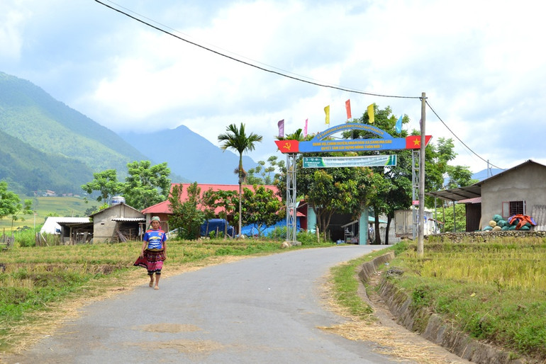 Mùa vàng trên rẻo cao -8