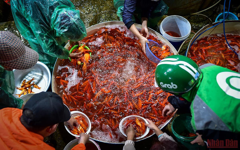 Chợ cá Yên Sở tấp nập, ngập sắc đỏ vàng Tết ông Công ông Táo -0