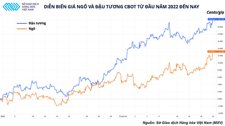 Ngành chăn nuôi Việt Nam: Thích nghi là giải pháp sống còn -0