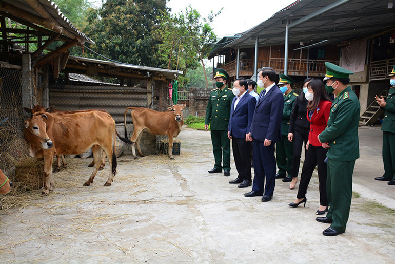 Các đồng chí lãnh đạo Tỉnh ủy, HĐND, UBND, Ủy ban MTTQ Việt Nam tỉnh Điện Biên và lãnh đạo Bộ Chỉ huy BĐBP Điện Biên trao bò giống tặng các gia đình nghèo biên giới. Trao gần trăm phần quà tặng các gia đình đồng bào DTTS trên biên giới -0
