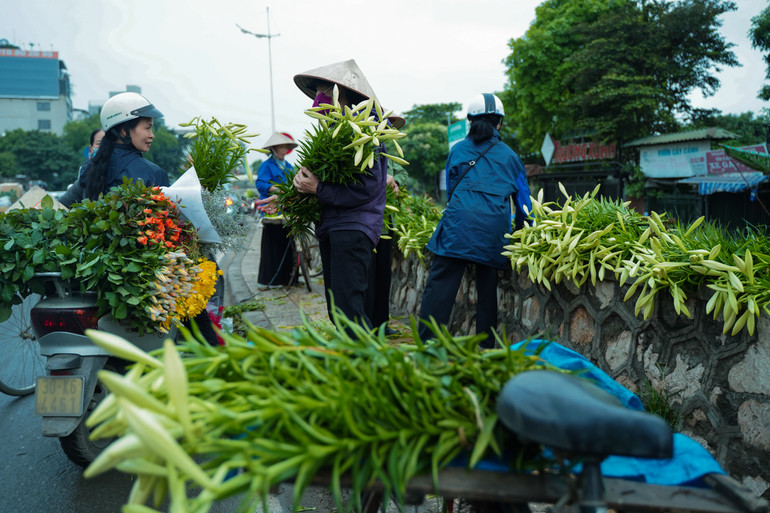 Sắc hoa loa kèn ngày cuối mùa -0