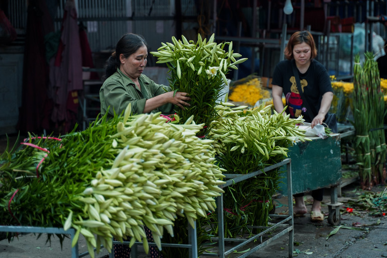 Sắc hoa loa kèn ngày cuối mùa -1