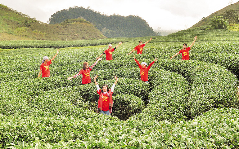 Tiềm năng còn bỏ ngỏ -0