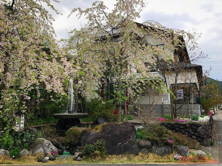 Những điều thú vị ở xứ sở “Mặt Trời mọc” -0