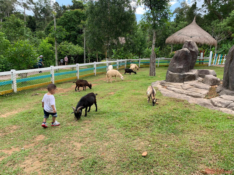 Trải nghiệm công viên động vật hoang dã Safari Phú Quốc -0