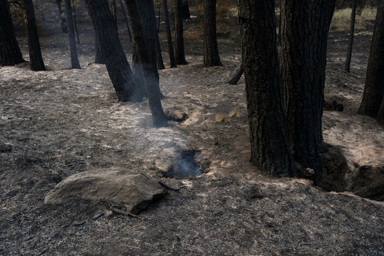 Khói vẫn âm ỉ dưới mặt đất sau vụ cháy rừng gần Wenatchee, Washington, Mỹ. Ảnh: Reuters. Khói do cháy rừng ở Mỹ khiến trăng rằm tháng 7 chuyển màu cam -0
