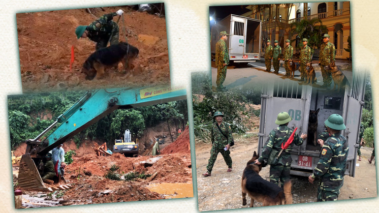 Long-form: Vũ khí đặc biệt của những chiến sĩ mang 