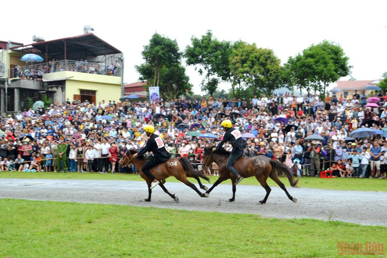Sôi động đua ngựa thồ trên cao nguyên trắng Bắc Hà -0