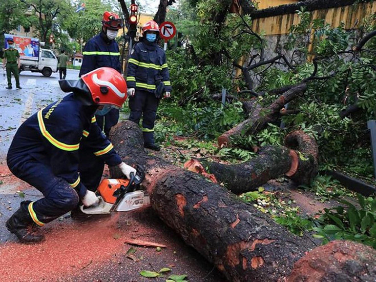 Khắc phục sự cố cây đổ trên phố Hỏa Lò -0