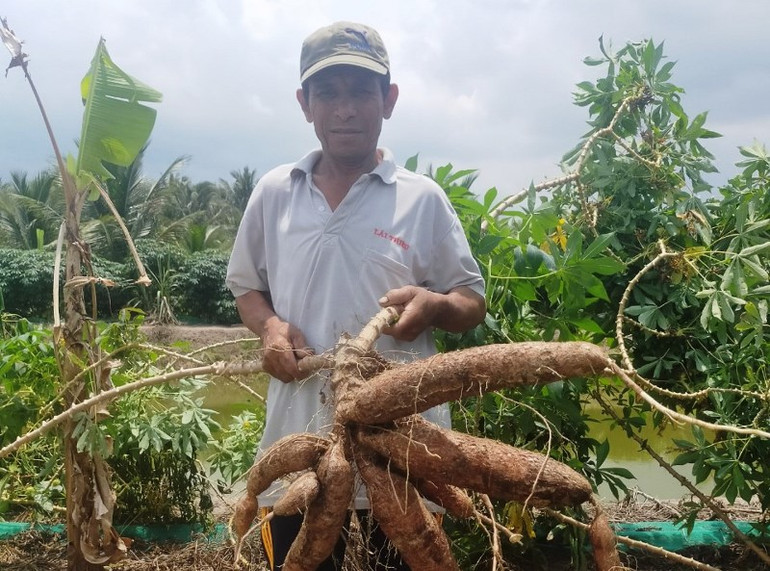 Tấm lòng người dân xứ Dừa hướng về thành phố mang tên Bác -0