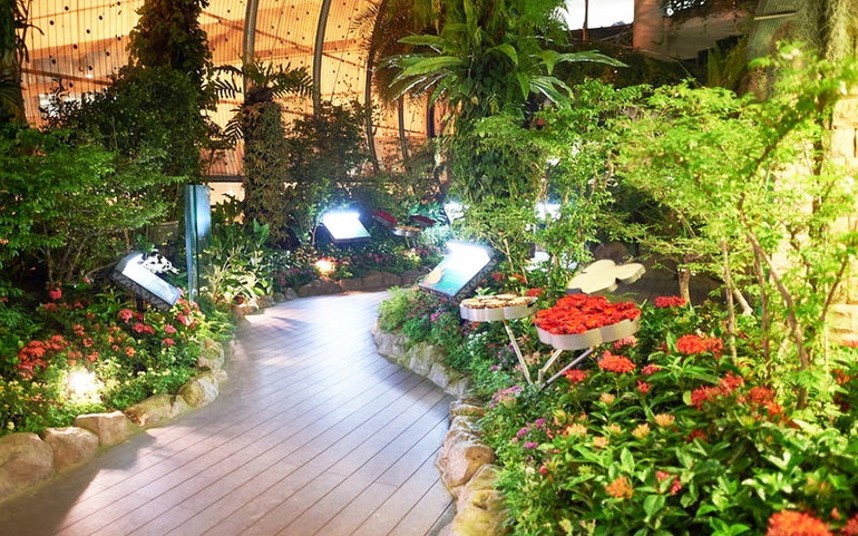 Vườn Bướm trong sân bay Changi, Singapore là nơi sinh sống của hơn 1.000 loài bướm và là một vườn hoa hướng dương. Vườn thực vật trong nhà này phản ánh biệt danh “Thành phố trong Vườn” của Singapore. Những khu vườn ấn tượng trên thế giới -1