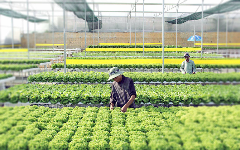 Thời của nông nghiệp 4.0:&nbsp;Đổi chất, tăng lượng -5