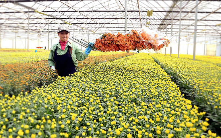 Thời của nông nghiệp 4.0:&nbsp;Đổi chất, tăng lượng -0