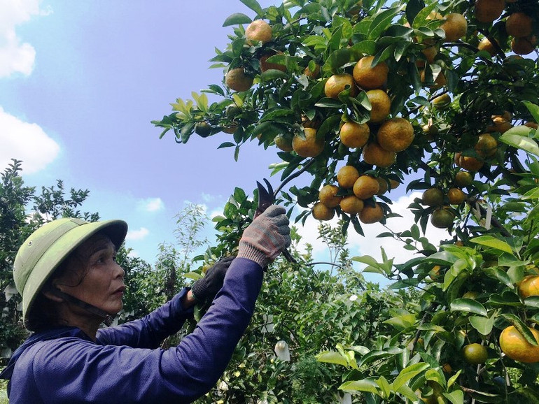 Xin đừng hứa suông -0