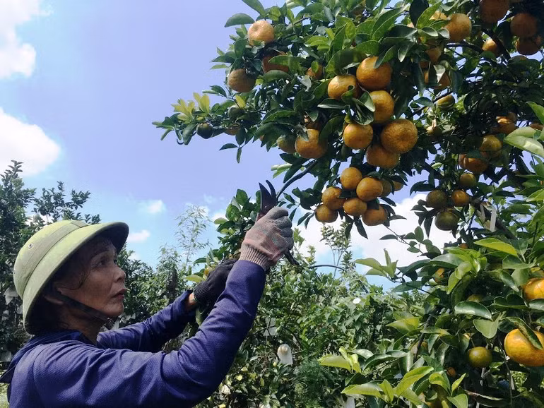 Xin đừng hứa suông -0