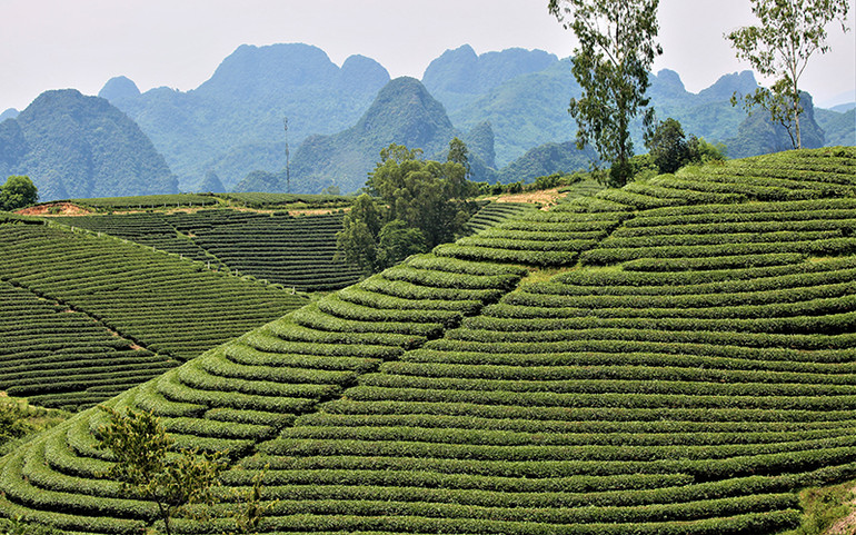 Điểm sáng Hùng Sơn -0