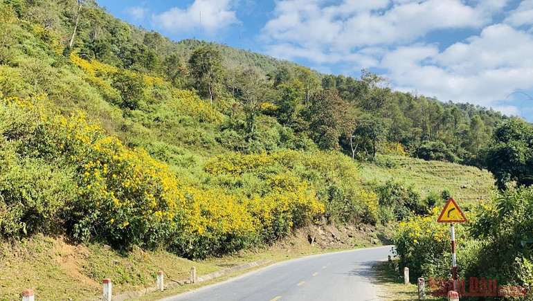 Sin Suối Hồ - Ngàn mặt trời rực rỡ -0