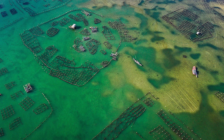 Sắc màu di sản miền Trung ấn tượng trên Bảo tàng số Goolge Arts&Culture -0