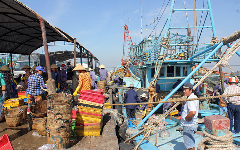 Giải pháp cho nguồn nhân lực nghề cá vùng Bắc Trung Bộ -0