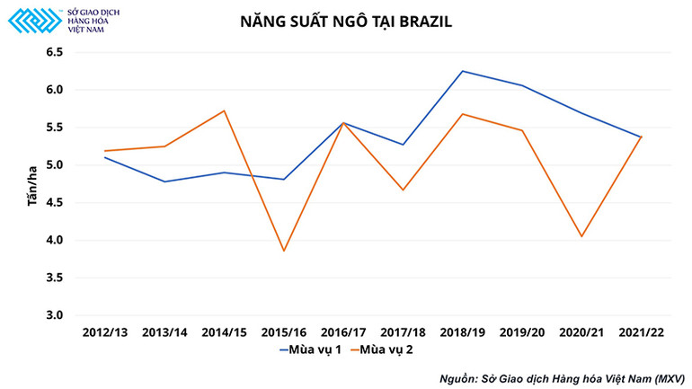 Rủi ro thời tiết đối với vụ ngô thứ 2 của Brazil đang là nỗi lo ngại của ngành chăn nuôi nước ta -0