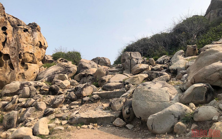 Kết nối các di sản thiên nhiên ở Ninh Thuận -0