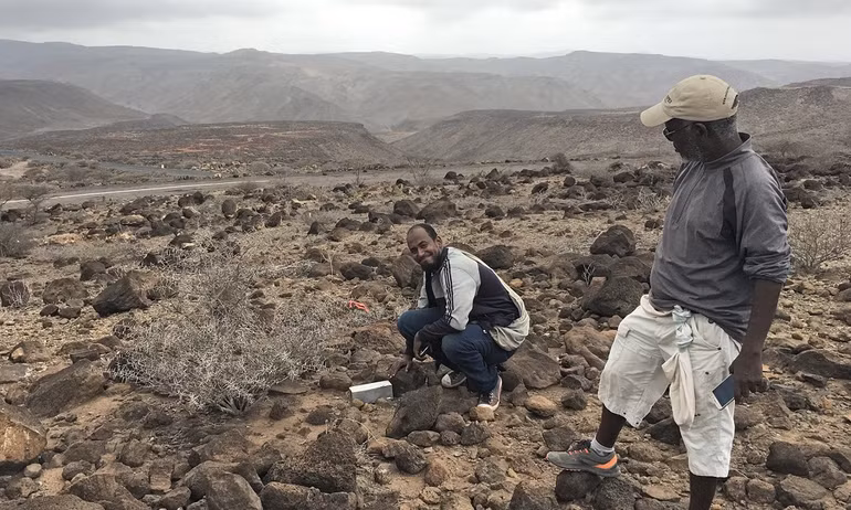 Tìm thấy loài chuột chù voi sau 50 năm mất tích -0