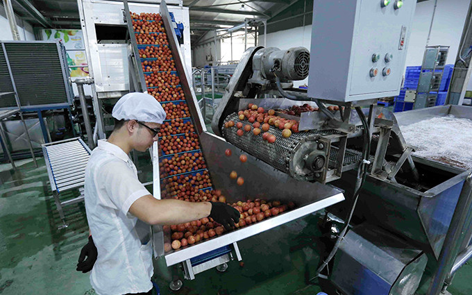 Doanh nghiệp Việt chủ động tìm kiếm đối tác, xuất khẩu nông sản chất lượng cao. Doanh nghiệp Việt chủ động tìm kiếm đối tác, xuất khẩu nông sản chất lượng cao.