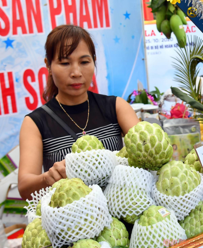 Sắc mầu Sơn La – Tây Bắc tại Hà Nội -0