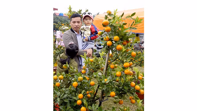 Rộn ràng chợ Tết quê ảnh 2