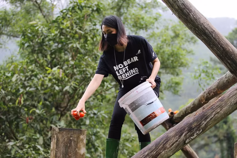 Khởi động chiến dịch Không một cá thể gấu nào bị bỏ lại phía sau -0