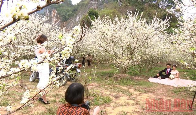 “Miền cổ tích trắng” giữa lòng TP Sơn La -0