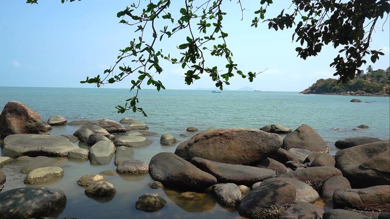 Nhớ con tôm tích... xứ hòn -0