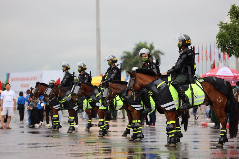 Cận cảnh dàn kỵ binh làm nhiệm vụ tại sân vận động Mỹ Đình -0
