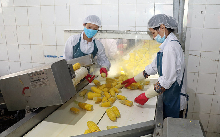 Linh hoạt kết nối cung, cầu nông sản -0