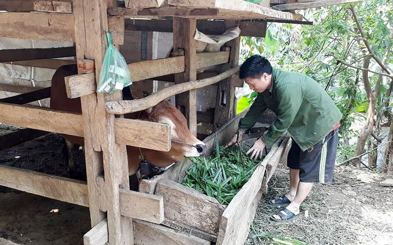 ★ Vận hành Cơ sở dữ liệu Quốc gia về dân cư từ ngày 1/7 -0